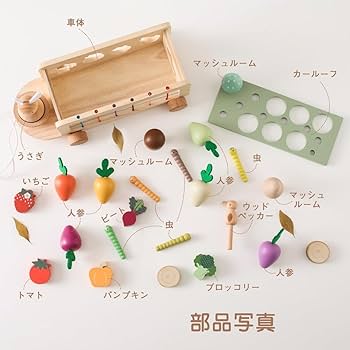 知育玩具形合わせ 木製パズル モンテソッリー 型 Amazon | 形合わせ 木製パズル ニンジン 知育玩具